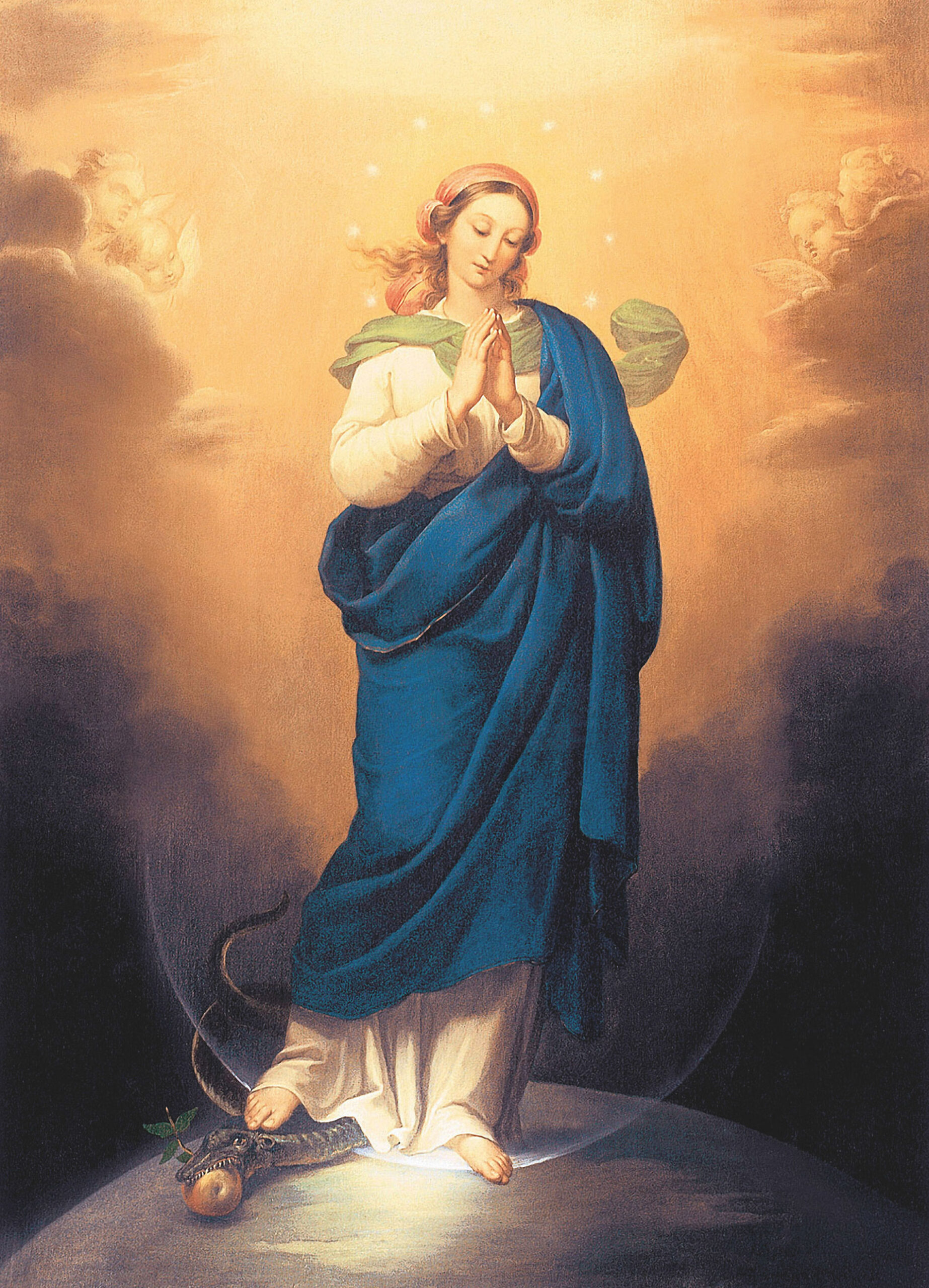 The Divine Mercy Australia